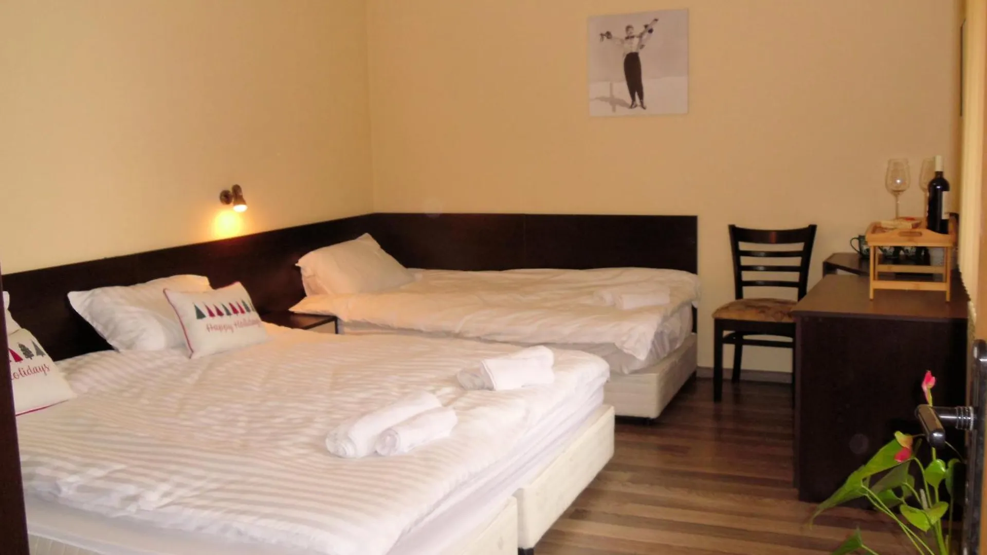 Deers Hotel Bansko Gæstehus